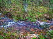 Onder De Boom Takken Stromend Rivier van Nature Life Ambience thumbnail