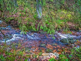 Unter dem Baum Äste fließenden Fluss von Nature Life Ambience