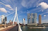 Erasmusbrücke und De Rotterdam von Anton de Zeeuw Miniaturansicht