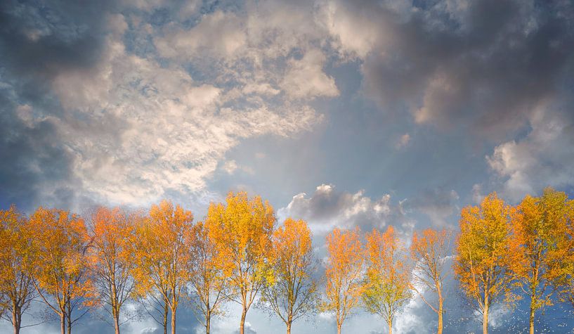 Damme Herfst van Adrien Hendrickx