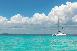Catamaran dans une mer d'azur.