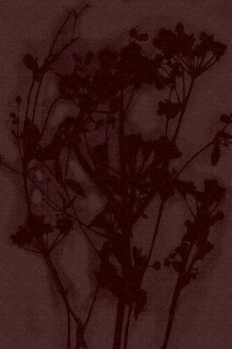 Puur landelijk. Moderne botanische kunst. Bloemen in merlotrood.