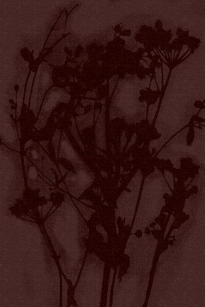Purely rural. Modern botanical art. Flowers in merlot red. by Dina Dankers