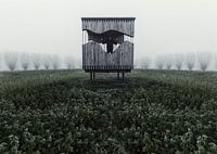 Cage Of Depression