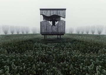 Cage Of Depression van Dieter Herreman