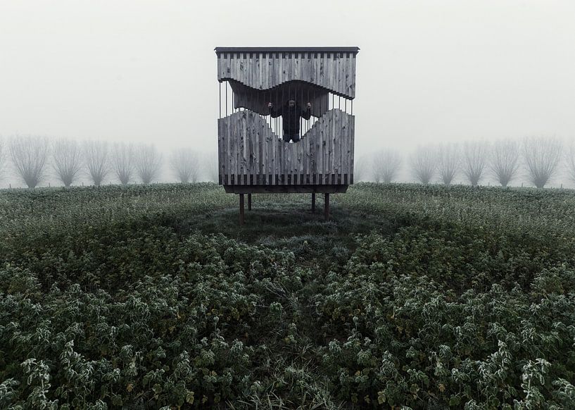Cage Of Depression van Dieter Herreman