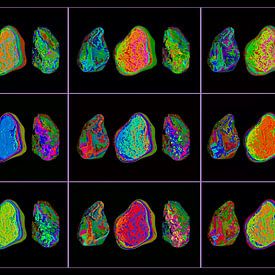 Marylins stones No.2 von Leopold Brix
