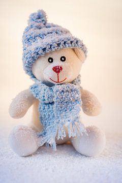 Lieve zachte witte teddybeer in de sneeuw van Lisette Rijkers