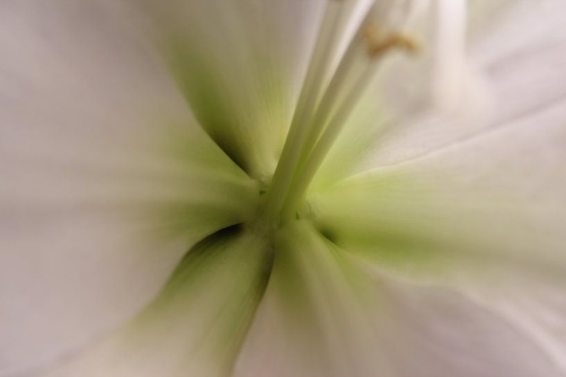 Masher by Bo Hendriksen