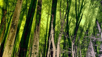 Magic Forest in Zachtgroen van FRESH Fine Art