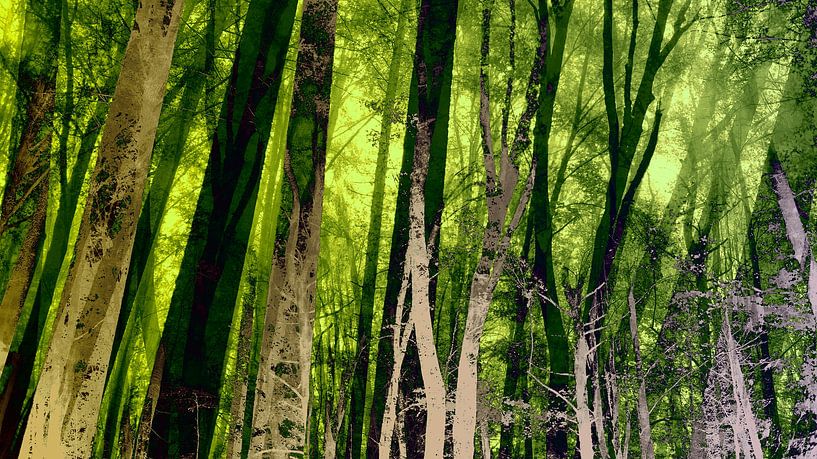 Magic Forest in Zachtgroen van FRESH Fine Art