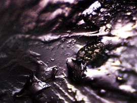 Haribo-Bären unter dem Mikroskop von Wijco van Zoelen