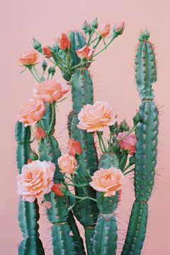 Bloeiende cactussen in detail van Poster Art Shop