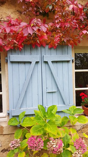luiken herfst blauw frankrijk by Bieszlook MarionBieszke