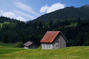 Das Leben auf dem Bauernhof in den Alpen von Niels den Otter