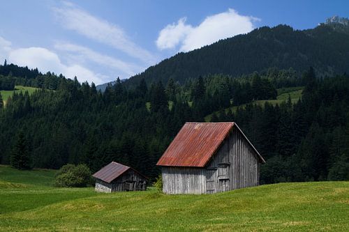 Het boerenleven in de Alpen van Niels den Otter