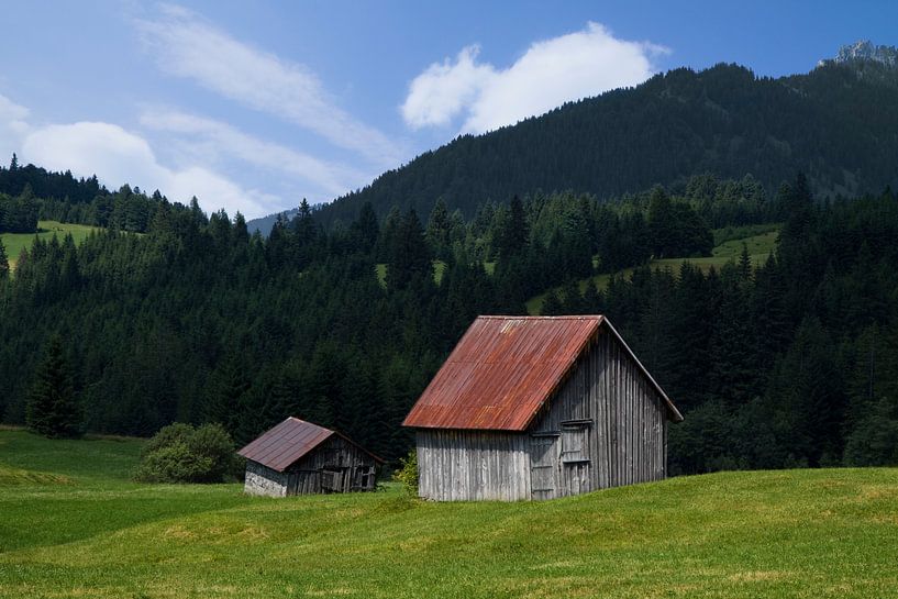 Farm life in the Alps by Niels den Otter