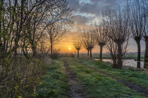 Koude zonsopkomst in de polder