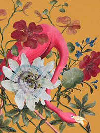 The Flamingo behind the Passion Flower by Marja van den Hurk