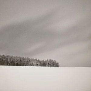 Winter Wonderland