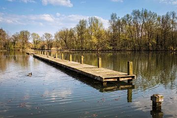 Visvijver Valkenburg van Rob Boon