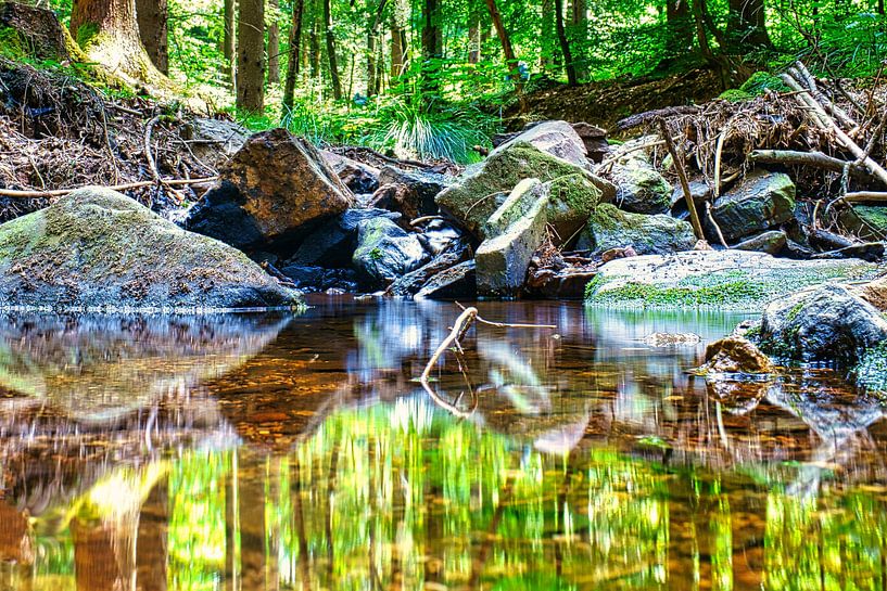 Small waterfall in the forest with moss on stones by Martin Köbsch