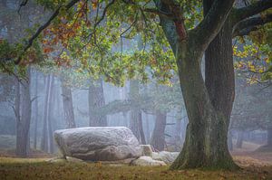 Hunebed Gasterse Duinen sur Jurjen Veerman