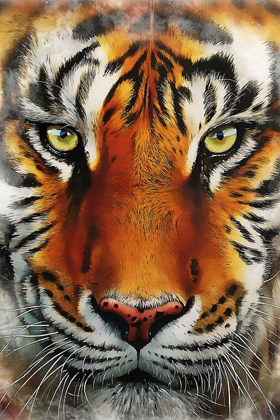 Tiger by Mateo