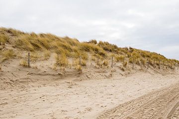 Strand en duinen met bandensporen van Evelien van Rijn