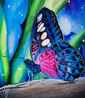 Butterfly Drawing