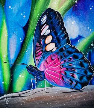 Dessin de papillon sur J.colordrawingz_