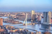 Erasmusbrug