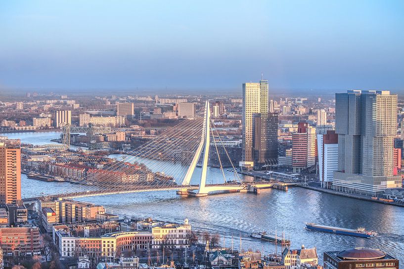 Erasmusbrug van Ferry Krauweel