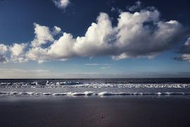 Tout simplement hollandais sur Bianca Van Steen