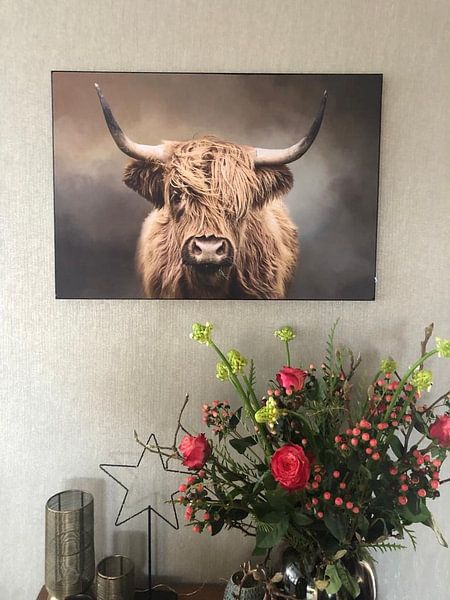 Customer photo: Scottish Highland Cow by Diana van Tankeren, on ArtFrame