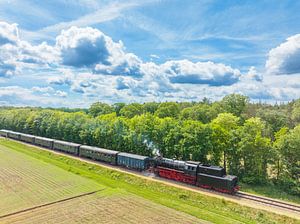 Dampfzug mit Rauch aus der Lokomotive bei der Fahrt durch der Landschaft von Sjoerd van der Wal Fotografie