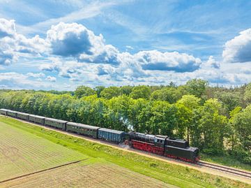 Stoomtrein met rook van de locomotief rijdt door het landschap