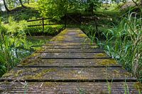 A small bridge over the water
