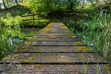 Eine kleine Brücke über das Wasser von Kelly De Preter