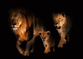 Familie Löwe von Bert Hooijer