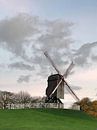 Wieken in herfstrust  by Marc Van Achte thumbnail