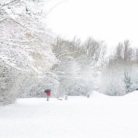 Wintertime von Nildo Scoop