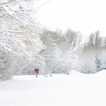 Wintertime by Nildo Scoop