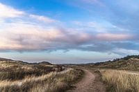 Landscape photo of the dunes in Den Helder