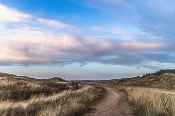 Landschapsfoto van de duinen in Den Helder van Davadero Foto