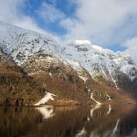 Norwegischer Fjord von Coen Feron