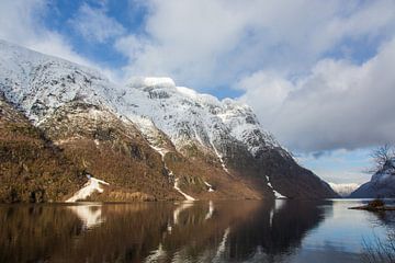 Noorse fjord van Coen Feron
