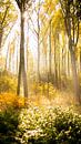 Herbst in den Wäldern von Dirk Vervoort Miniaturansicht