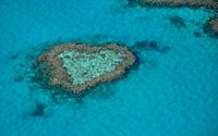Heart Reef van Victor Droogh thumbnail