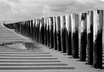 Les brise-lames le long de la côte zélandaise en noir et blanc sur Rini Kools